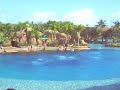 Dolphin Show at Sea World, Gold Coast Part 1