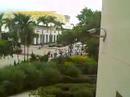 ffec-web-promo-finalsarasota-revote-rally-2006.html