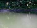 秋元湖の大物獲り逃がす