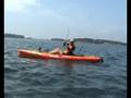 Fishing Battle n°2: Savagers VS SBF