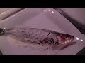 Click here to watch this video So macht man Sardinen mediterran aus dem Ofen -- Der Bio Koch #216