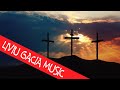Liviu Gacia - Mai sus de oameni ...