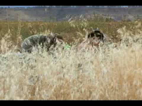 how to decide where to hunt deer