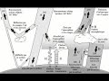 rechauffement climatique - 01 rechauffement climatique - 01