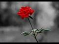 serdar orta� tan Naz�m Hikmet �iir i     