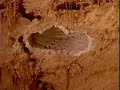 The Discovery of Inner Space Cavern, Texas