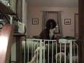 videos de Tibetan Terriers-The Great Escape Artist!