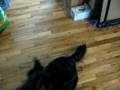 videos de MVI_0891.AVI