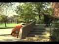 videos de Throwaway Snowcone