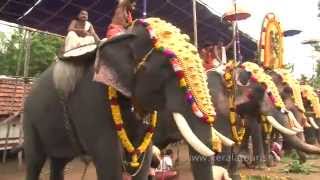 Click to view the video of Mudappallur Vela at Sree Azhikulangara Bhagavathi Temple