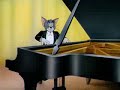 The Cat Concerto