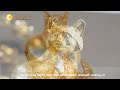 Tượng mèo mạ vàng 24k quà tặng tượng mèo phong thủy 2023