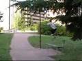 Vicenza Parkour Beginner