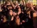 la comadreja y el tulipan   la tona