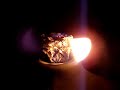 Foxfire Light, The Dancing Flame