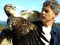 out to get them. From atop Chickatawbut Hill, Smith captures raptors, tags them and releases them. As they soar over the Blue Hills on their way south to warmer climates, Smith is still as a mouse as he waits for a chance to snare one of the flying hunters in his net. ``He's the most active raptor bander in the state,'' said Thomas French, assistant director of the state Division of Fisheries and Wildlife. ... ghsvid ghsnevid patriot ledger quincy milton trailside museum norman smith hawks ...