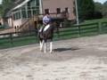 Grey Fox Farm Artistic