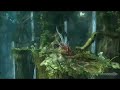 Final Fantasy XIII