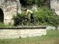 VTT Trial Bertrand VSTeam Georgian Legend