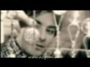 shady aswad syria shady aswad syria