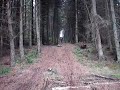 Gary Mcintosh MTB 2nd Jump Pitmedden Forest Scotland