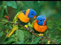 enjoy the beauty of the universe with new age music