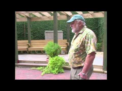 Christopher Newport University-Arts Garden