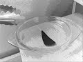Real Alien Autopsy