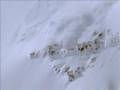 Craig Kelly Tribute