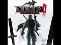 the main theme song for ninja gaiden ii (2). the in game version. enjoy.