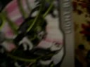 My first new Bakugan Cards and First New Bakugan