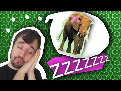 ELEFANTE
