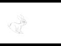Fiver Jump Cycle- Rough