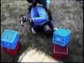 sweet chin music wypadki DX clip video !express#  !metadata#!version#v1.0.r291!/version#!format#1.001!/format#!totalTime#238265!/totalTime#!width#400!/width#!height#300!/height#!maxSceneSize#0!/maxSceneSize#!clientPublishTime#Thu Feb 14 12:58:58 GMT 0100 2008!/clientPublishTime#  !/metadata#  !scenes#!scene/#!scene/#!scene/#!scene/#!scene/#!scene/#!scene/#!scene/#  !/scenes#  !asset path=