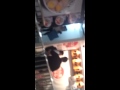 秋元才加 小林香菜 西九直擊5