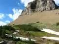 Big Horn Sheep in Glacier National Park