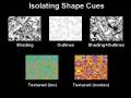 videos de Using NPR to evaluate perceptual shape cues in dynamic environments
