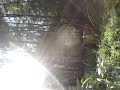 m�ga bombe