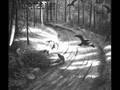 BURZUM - #2 - Hvis Lyset Tar Oss