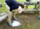 The Malk Challenge