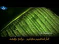 زهران المجد والتاريختقول من فين انت.. وقلـت زهرانـي من لابة لابـدت للحـرب هـي هيـهقبيلـة مـن جنوب..وعزهـا بـانـي اسـطـورة للكرم..نيرانـهـا حـيـهتستقبل الضيـف بالترحيـب والدانـي مليـون مرحـب ولا يكفـون رديــهوتجير من يستجيـر وتزبـن العانـي وتفك ظيـم ٍ عـن المظيـوم والديـهوالجار تحفظ حقوقه عن جنى جانـي لاغـاب ماكنـه الا حاضـر هنـيـهشيمه وقيمـه وقـدر وعـز وايمانـي ورفعـه وغيـره ورثناهـا سماويـهلباسنـا المـرت والبلجيـك وسنانـي والجنبخان انتظم فـي سبـت جنبيـهبارودنـا .. عطرنـا لا ثـار دخانـي عن طيلسان وحمى مصيـون وحميـهعنه انشدي الترك في صفيان عجلاني يـوم اختلـط بالدمـاء نيـاح تركيـهمن شافهم صاح باعلى الصوت طرباني ياحي قوم ٍلهـم فـي الحـرب ماريـهصبيان زهران نام وغطـى الاجفانـي مدام لك مع صـلاب الـروس عانيـهوبلادنا.. من جبـال سمـر وجنانـي فيهـا اختلـط شوكهـا.. ببعيثرانيـهوبيوتنا.. مـن مـدر ليـن وصوانـي فيهـا الاثـل( زفرن)بالقطـر مطليـهفينا غلاضة حرس واحسـاس فنانـي وفينا يلـد للغضـب سبعيـن جنيـهوفينا براعـة فكـر والعلـم برهانـي شيـوخ ودكاتـره فـي كـل ناحيـهالله خلقنـا كـذا سـمـرٌ بالالـوانـي وفينا بياض القلـوب وطهـر بالنيـهوتاريخنا من جذيمه(1) عالي الشانـي وبن احمد(2) اللي عروضه شعر مقريهوابو هريـره صحابـي خيـر جدانـي حفظ لنا الدين والقـران فـي ذيـه(3)وفي عهد سيد البشر كنا لـه ايمانـي في كل غـزوه لنـا وقعـات مطريـهشجعان يوم الوغـى زلـزال بركانـي عن سنة المصطفى والشـرع دوريـهوبنشير تشهد وتشهد ارض الافغانـي في يوم حق ٍ دهكنا خشـوم روسيـهشمنا عن الغـدر والتدليـس بلسانـي عزوه لمن يعتـزي والحـق لـه فيـهوشمنا عن الذل يـوم الـذل جربانـي وراعيه يمسـي علـى قلبـه هتيميـهرجالنا عـن ميـة فـارس وديدانـي وبنتنـا فـي حبـاب العيـن مخفيـهكبيرنا لـه مـع التقديـر الاحسانـي وصغيرنا لـه محبـه عطـف حنيـهوعندنـا للمحـبـه فـيـه تبيـانـي نصون عرض الحبيـب بحـد شبريـهولا نجـازيـه بالتعـبـات نكـرانـي ولا نخليـه لـو دارت بــه الهـيـهعظيم فينا الوفـا والصبـر سلوانـي وقلوبنـا مـع بعضنـا حيـل ولفيـهوماهمني مـن ذكرتـه لـو تناسانـي ربعي شنـار ٍ لهـم بالقلـب وسميـهيحبهـم كـل راعـي حـق وانسانـي بطيبهـم عاشـوا الدنيـا سموحـيـهقالت يكفـي خـلاص العلـم وافانـي اشبعت فينـي فضولـي ميـه الميـهيابنـت هـذا قصيـدي لـك وقيفانـي قاف ٍ على آنـي وقـاف ٍعلـى ايًـهمن الزمـرد ولـول البحـر تيجانـي والقاف يرمـي كمـا رميـات جثريـهاخذيه فـي مقلتـك مابيـن الاجفانـي والدمـع خليـه فـي عينيـك جبريـهوالا انثريه ان لقيتـي فيـه سلوانـي لا صاكعت بك ليالـي حـزن وهميـهوقولي جبرني على الانصات زهرانـي فـي منتـدى للقـا نفحـات ورديـهوسافر بفكري وصار القلـب هيمانـي وتزاحمت بي على الانفـاس شرقيـهواوغل بذاتي ولا ادري ويـن ودانـي ببحـور شعـره وقصاتـه الدراميـهماشفت قبلـه ولا بعـده احـد ثانـي يتجرد الحـرف بيـن ايديـه طوعيـهيسكب لي الحرف في مهجات حيرانـي ويغرقه في شـوق صـوراتٍ خرافيـةواذا استوى الحرف قلب فيه وجدانـي والجرح ينزف علـى ذكـره وطاريـهويوم استرق خافقي صور لي احزانـي واقبلت في وسط عينـي دمعـه نديـهجاوبني .. العلم جاك وجاك عنوانـي وان كـان ودك نزيـدك مابهـا هيًـهيكفيني اني ولـدت بـارض زهرانـي تسوى جميع الدول في نظـرة عنيـهعبدالرحمن الزهرانيصليب الراس1-جذيمه الاشرم.أول ملك يحكم العراق في التاريخ يرجع في نسبه الى زهران2-الخليل بن احمد الفراهيدي صاحب العروض المشهور من قرية الفراهيد في زهران3-اشاره الى الصدر