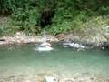 videos de familia araujo na cachoeira