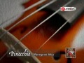 video klip Pinocchio Mengerti Aku video klip Pinocchio Mengerti Aku