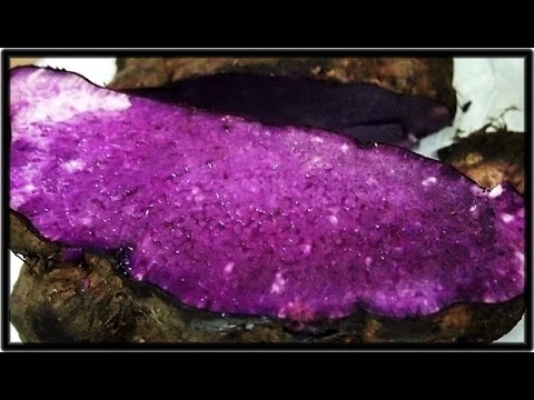 how to grow a purple yam