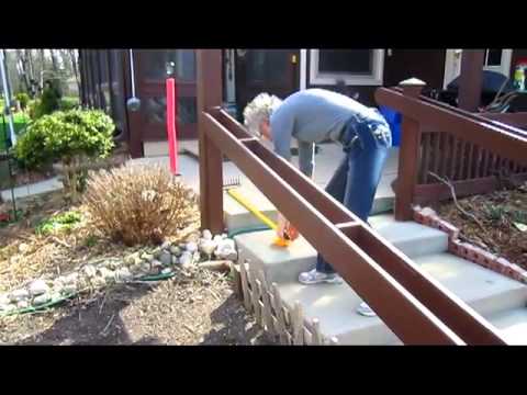 how to transplant zinnias
