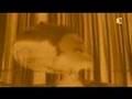 clip video Code Lyoko La Tribu