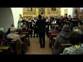 Ver Video