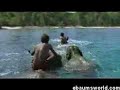 elephant swimming elephant swimming