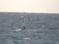 Crazy wave ride in Anapa