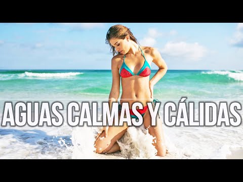 Imagen de previsualización de YouTube